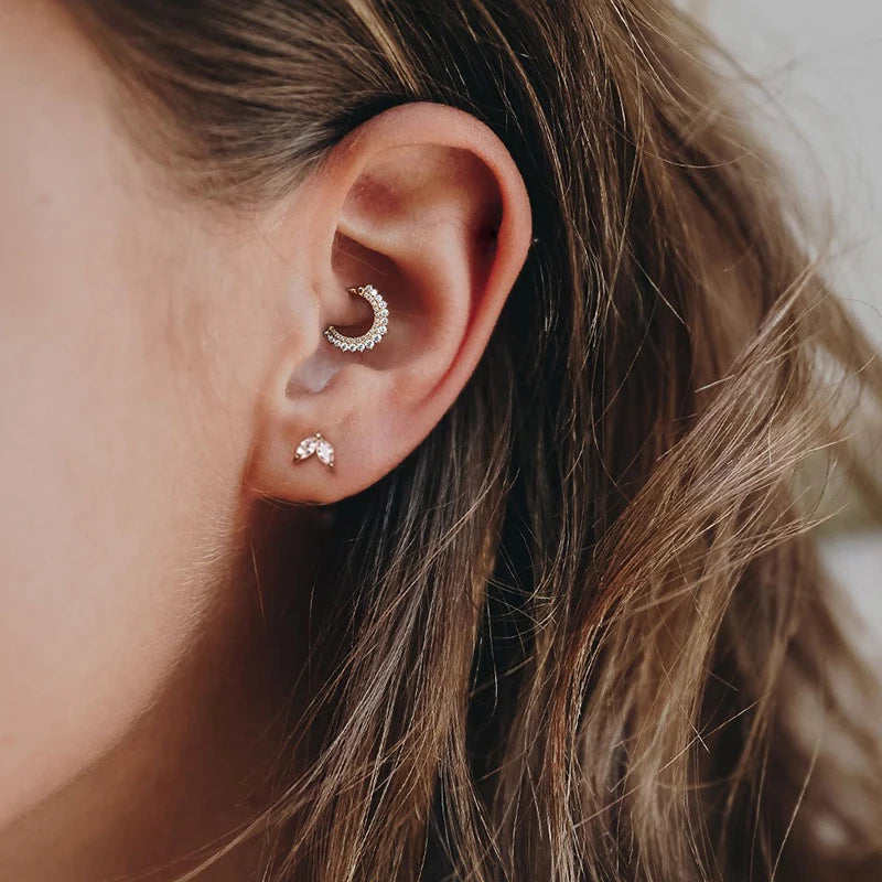 Cartilage Earrings & Nose Ring